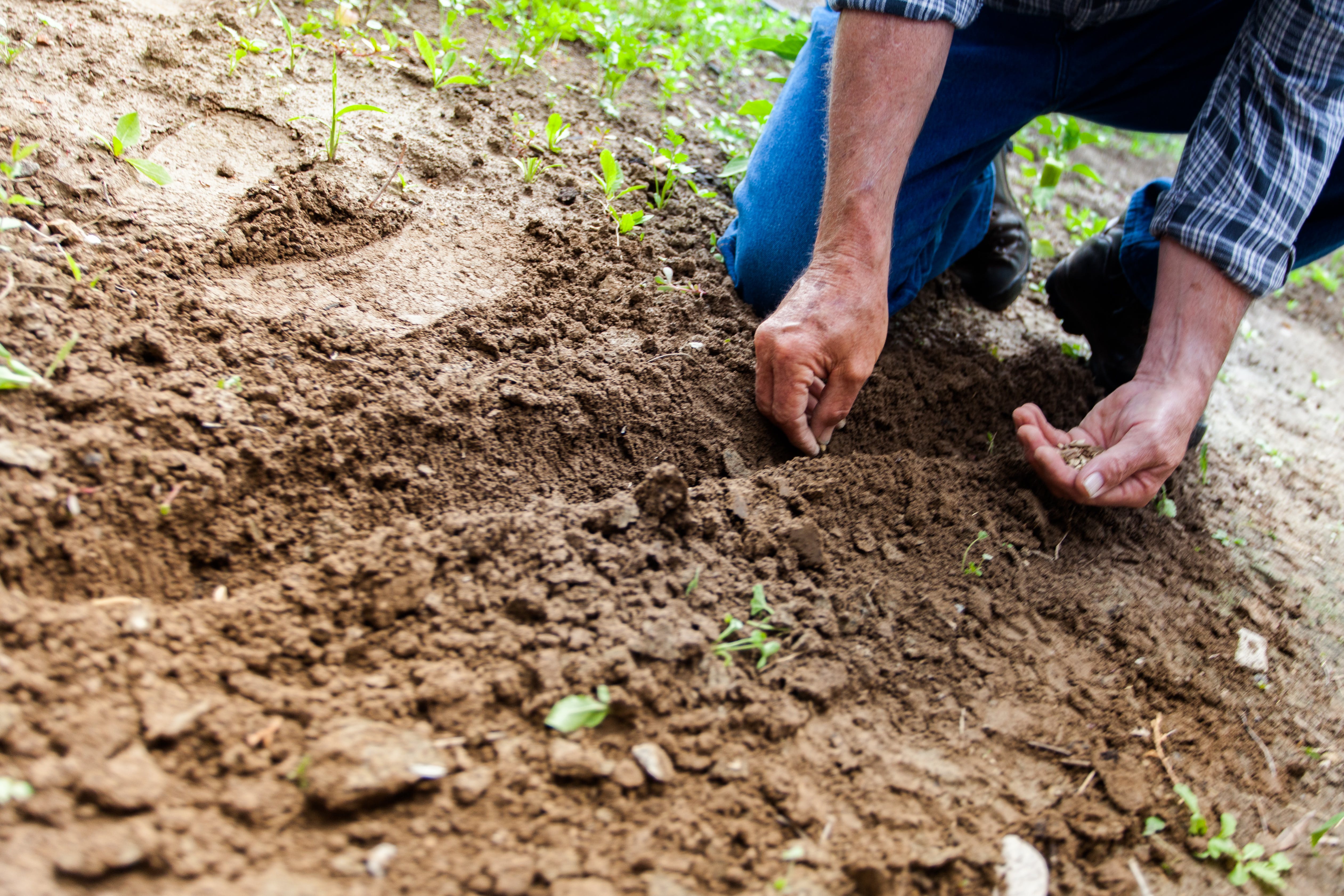 image agricultor3